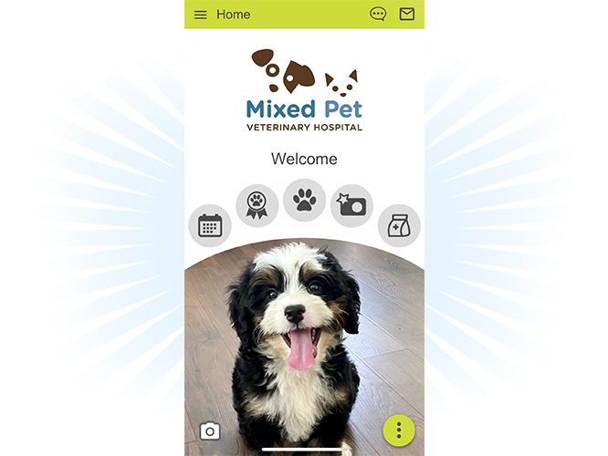 Mixed Pet App