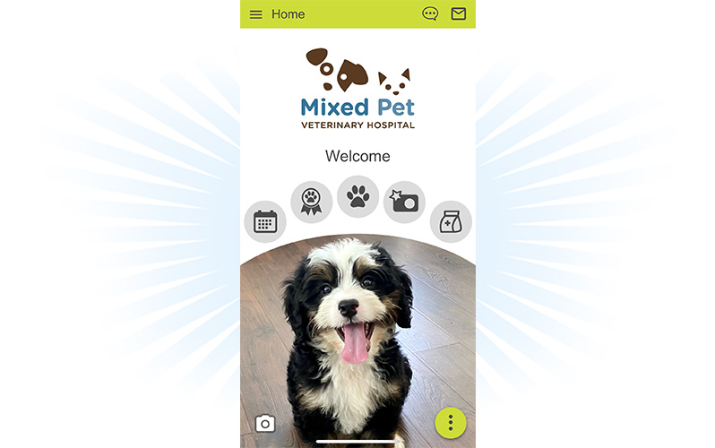Mixed Pet App