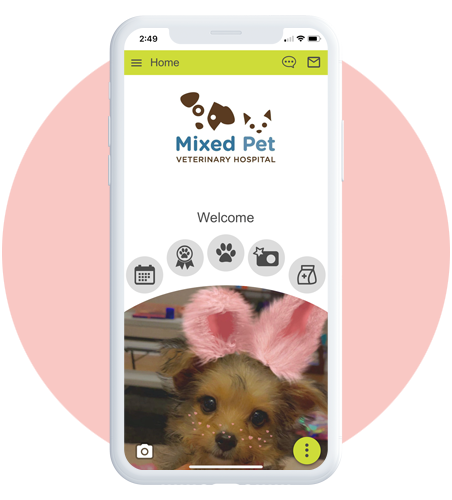 Mixed Pet App