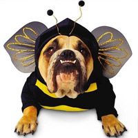 Bumble Bee Pet Costume