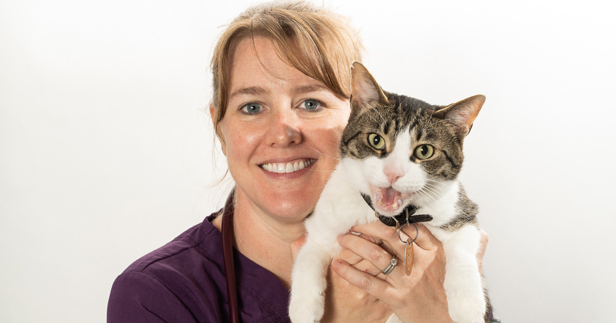 Dr. Sara Keb - Mixed Pet Veterinary Hospital